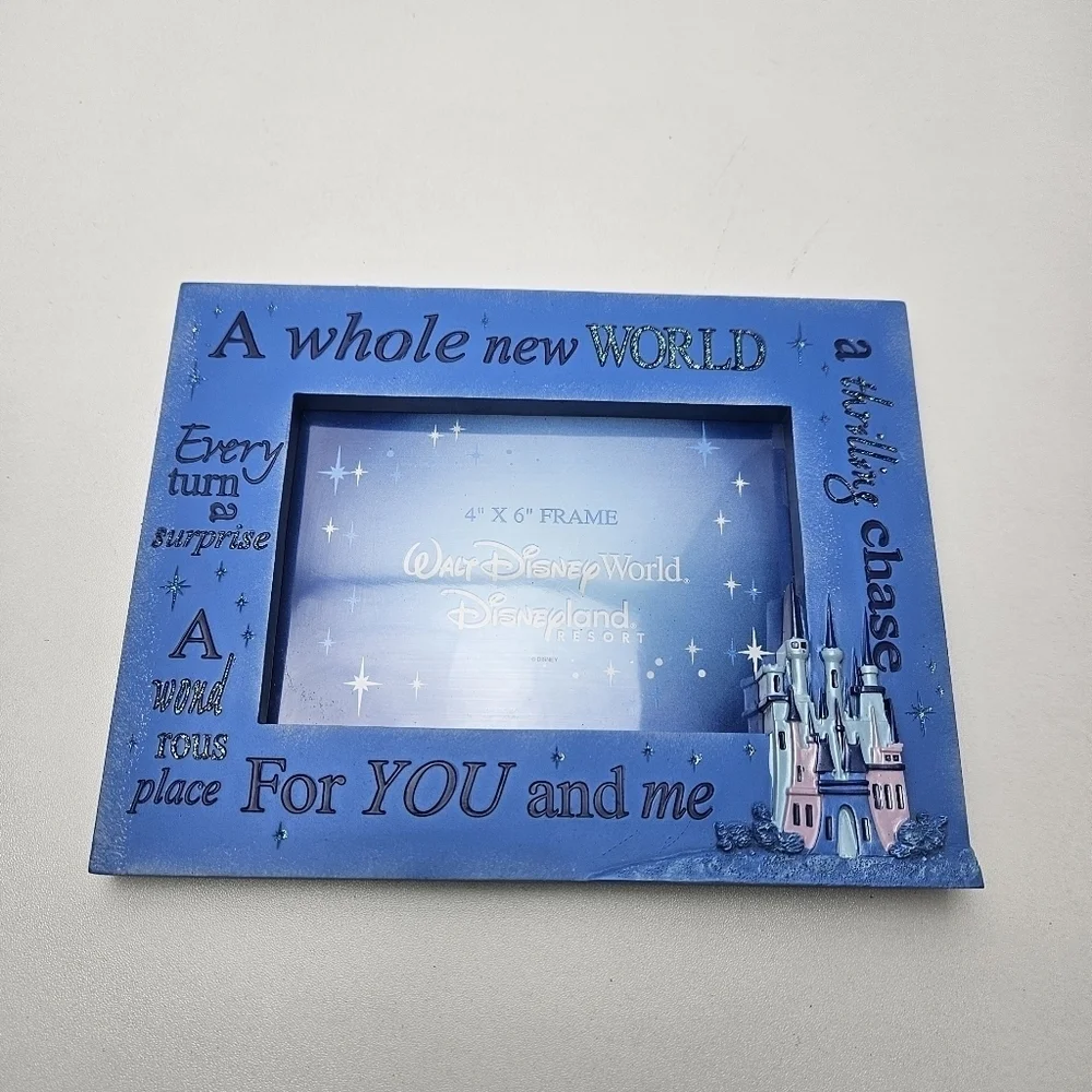 Disney Parks picture frame Aladdin